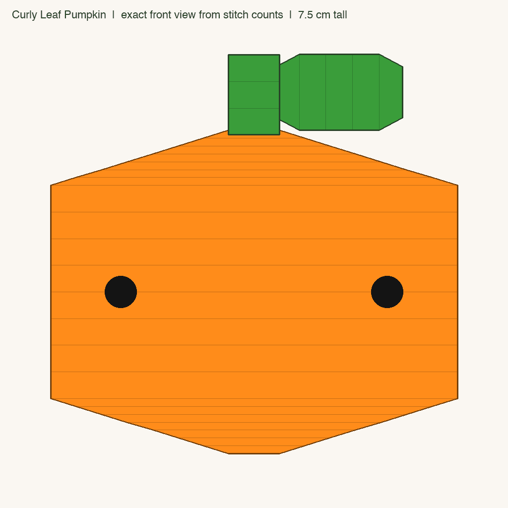 Curly Leaf Pumpkin: front view drawn from the verified spec