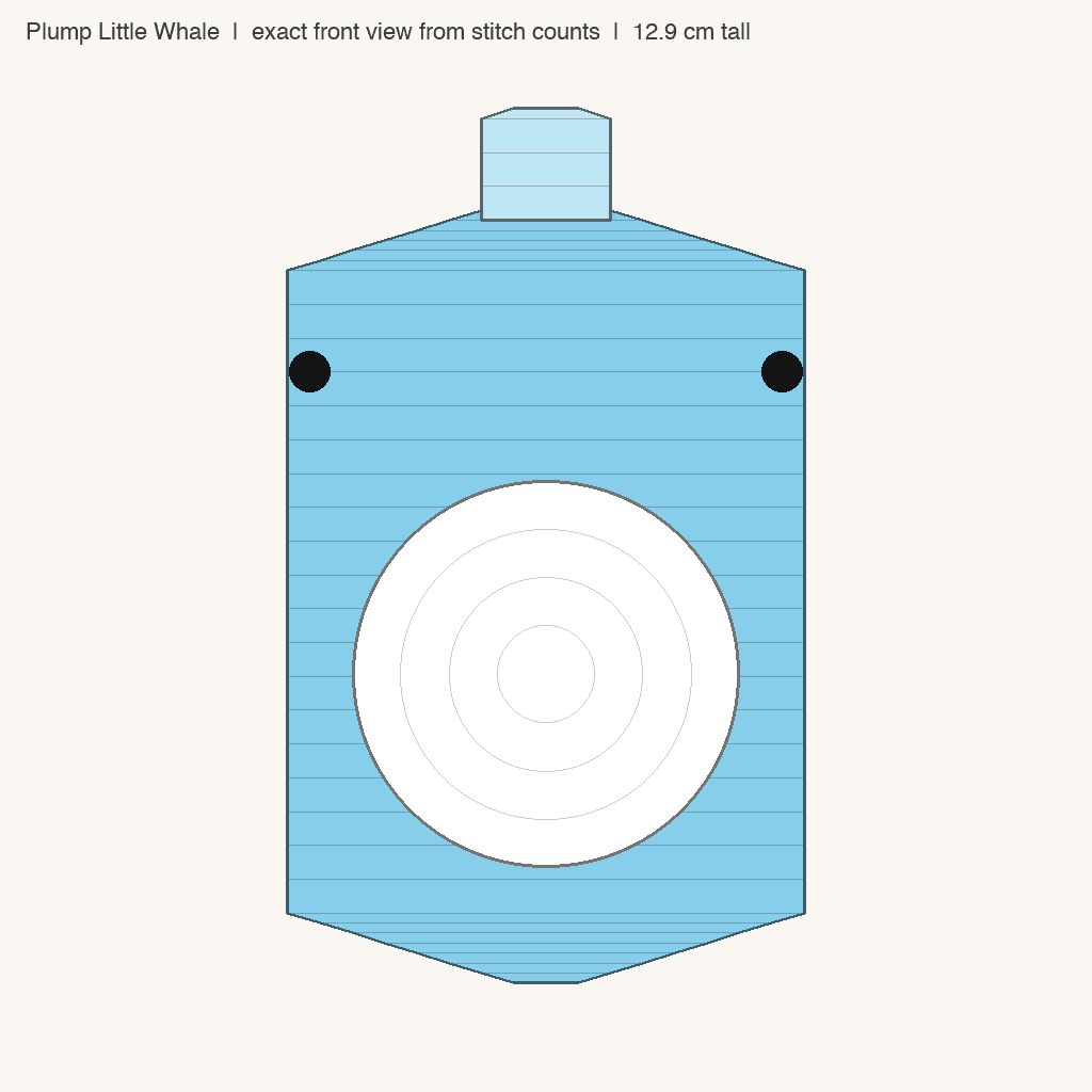 Plump Little Whale: front view drawn from the verified spec