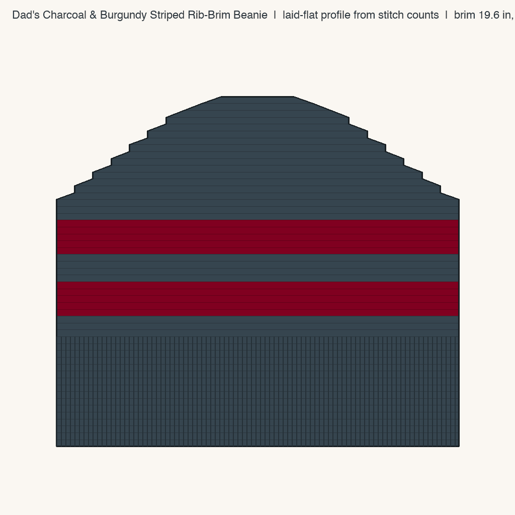 Dad's Charcoal & Burgundy Striped Rib-Brim Beanie: front view drawn from the verified spec
